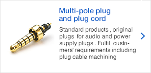 Multi-pole plug and plug cord