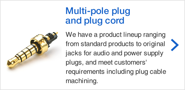 Multi-pole plug and plug cord
